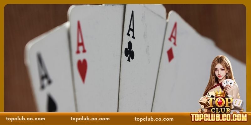 Giới thiệu đôi nét về Sâm TOPCLUB
