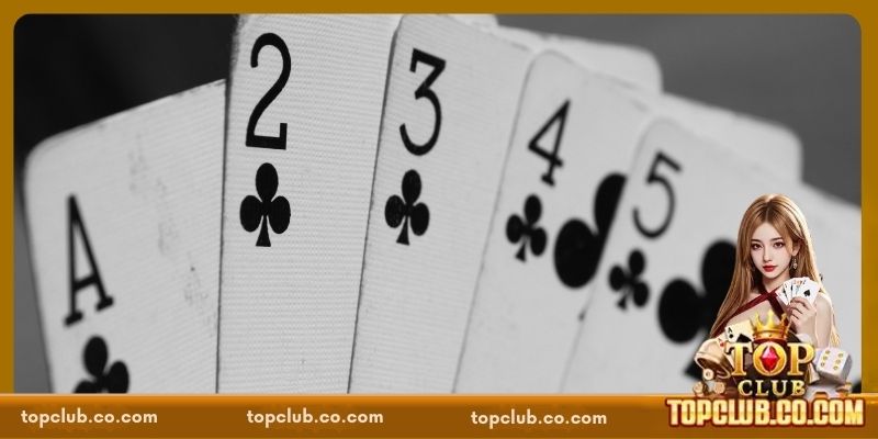 Một số trường hợp tới trắng trong Sâm TOPCLUB